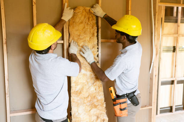 Best Eco-Friendly or Green Insulation Solutions  in Haskins, OH